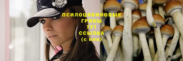 ECSTASY Новозыбков