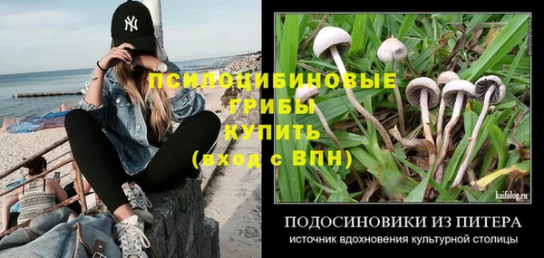 мет Новодвинск