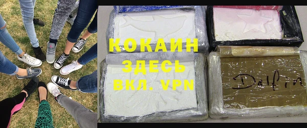 ECSTASY Новозыбков