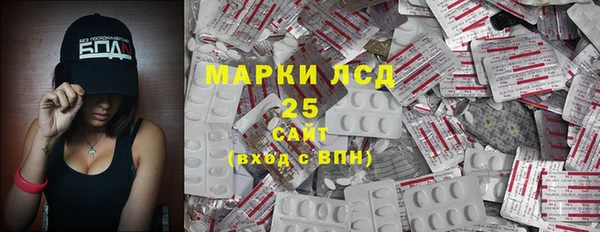 сатива Няндома