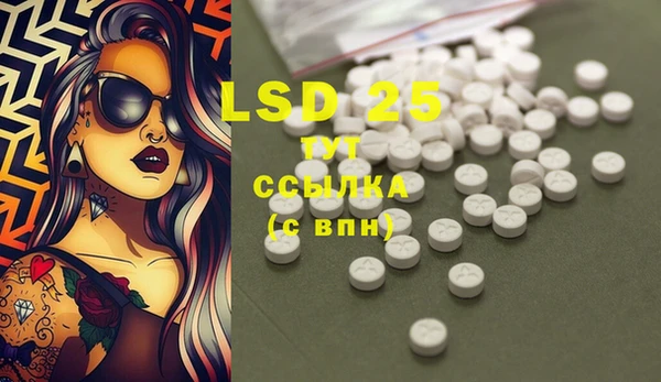 ECSTASY Новозыбков