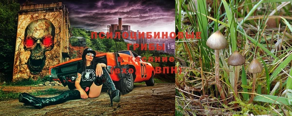 ALPHA-PVP Новокубанск