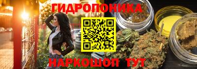 шишки Жуковский