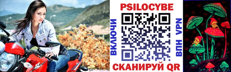 ОМГ ОМГ маркетплейс Нарьян-Мар Псилоцибиновые грибы Psilocybine cubensis