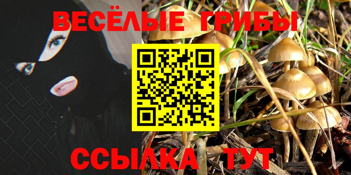 цены наркотик  Галлюциногенные грибы Cubensis  Псилоцибиновые грибы MAGIC MUSHROOMS  Вход с VPN  Нарьян-Мар 