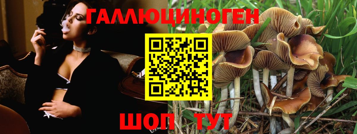 Галлюциногенные грибы мухоморы Нарьян-Мар